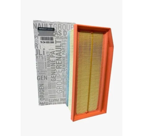 Filtru aer motor Dacia / Renault  – 165460509R