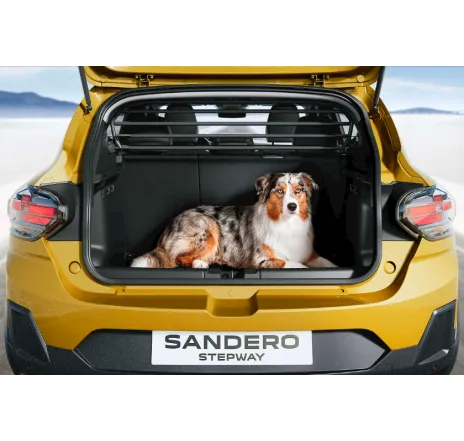 Grila despartitoare habitaclu Dacia Sandero III - 731500375R