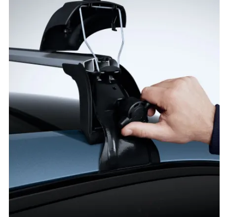 Set bare pavilion Quickfix (transversale pe pavilion) Renault Symbioz - 738200813R