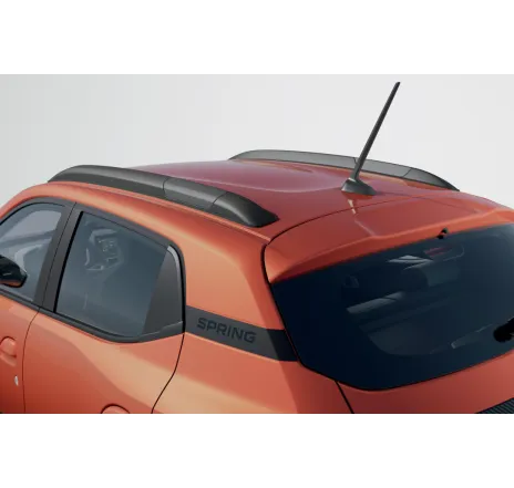 Set bare de pavilion longitudinale decorative Dacia Spring Facelift - 738200989R