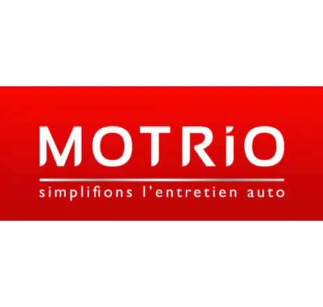 Filtru aer DACIA 8660003761 MOTRIO