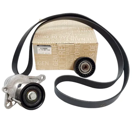 Kit accesorii Renault 117200334r