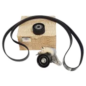 Set curea transmisie cu caneluri RENAULT 117201902R produs original