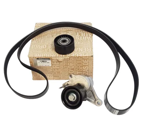Set curea transmisie cu caneluri RENAULT 117201902R produs original