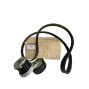 Colectie accesorii (galet+curea) 117203804R