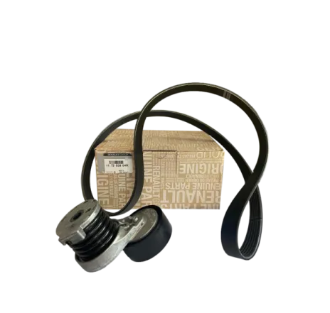 Colectie accesorii (galet+curea) 117203804R