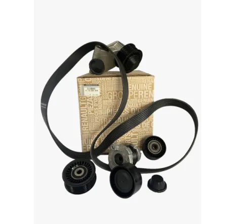 Kit transmisie (accesorii) Dacia Logan/Sandero 0.9 Tce 117204083R