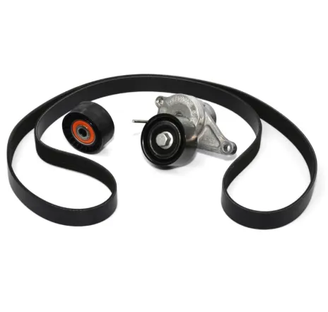 Kit accesorii Renault 117204127r