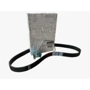 Curea striata (marcaj: 7PK1039) 117207378R Renault