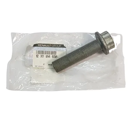 Surub RENAULT 123091465R produs original