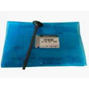 Supapa evacuare Dacia Logan 132025724R