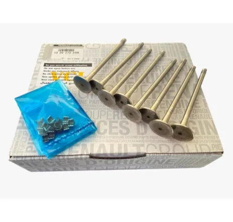 Supapa evacuare Dacia Logan II/Sandero II/Duster 0.9 TCe – 132027223R