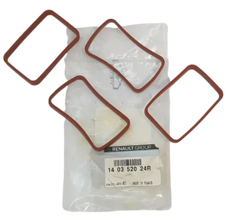 Set garnituri, galerie admisie DACIA 140352024R produs original