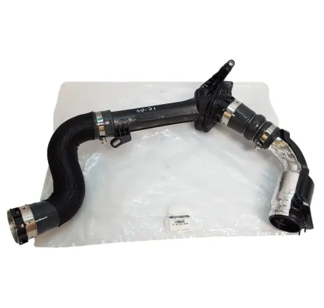 Furtun aer supraalimentare Renault 144602487r