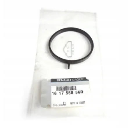 CALA/GARNITURA RENAULT 161755856R