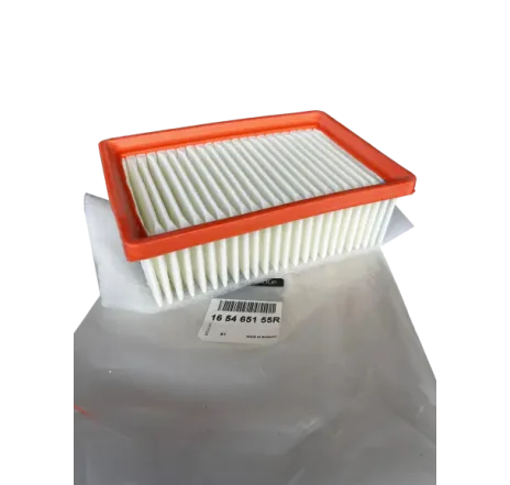 Filtru de aer (cu pisla) Dacia Logan/ Sandero III 1.0 TCe 2021+ 165465155R Renault