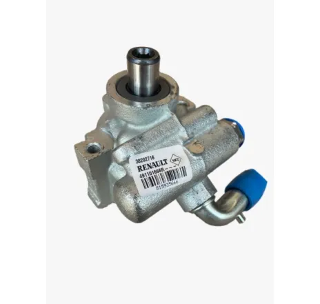 Pompa servo Renault Clio 491101666R