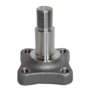 Butuc roata Dacia Logan I 6001548987 Renault