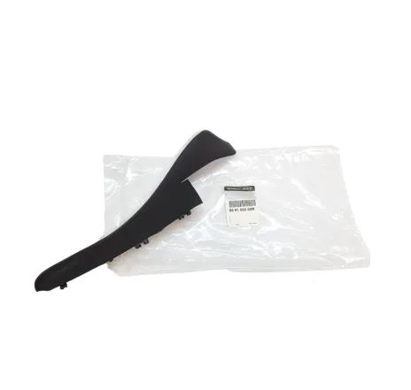 Ornament lateral parbriz dreapta Master III Renault 668100009r