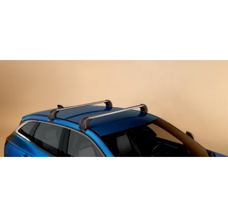 Set bare de portbagaj QuickFix din aluminiu (montare pe pavilion) Renault Austral / Espace VI 738202736R