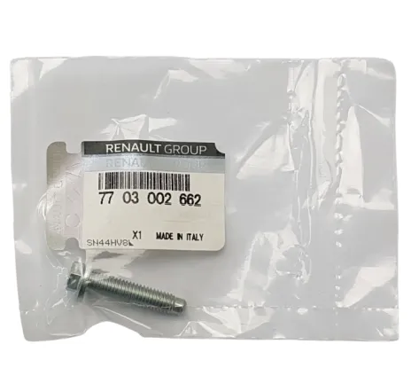 Surub 7703002662 Renault