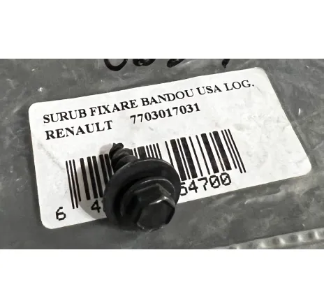 Surub fixare bandou usa Dacia Logan Renault 7703017031