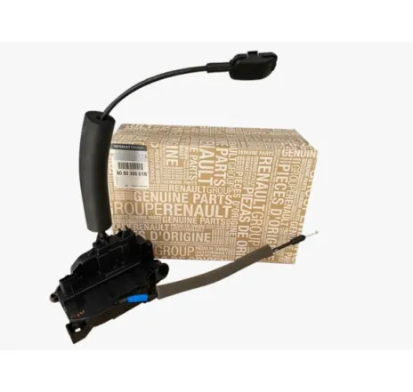 Broasca usa fata stanga Renault 805030001r