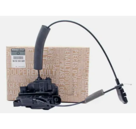 Broasca usa stanga fata Renault Scenic III / Grand Scenic III 805030006R