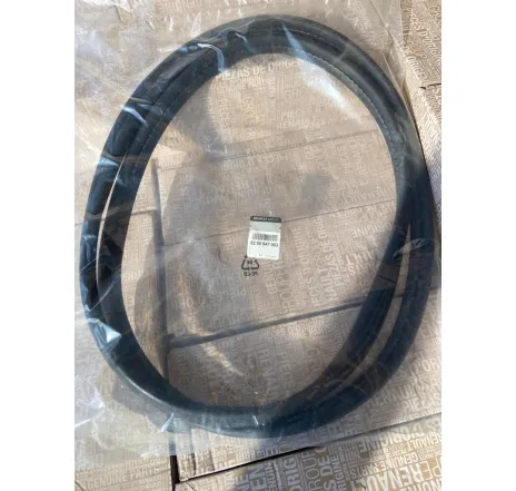 Cheder portiera fata / spate stanga / dreapta Renault Clio 8200647063