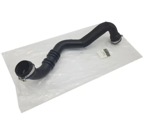 Furtun aer Renault Laguna 8200730597