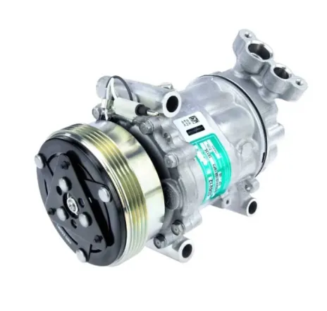Compresor climatizare Renault Symbol / Clio II / Kangoo I 8200840770