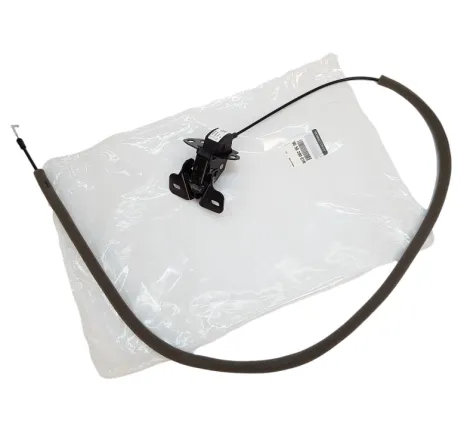 Broasca superioara usa batanta spate dreapta Renault Master III 905920001R