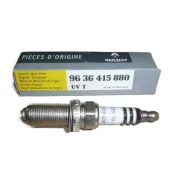 Bujie Renault Laguna 9636415880