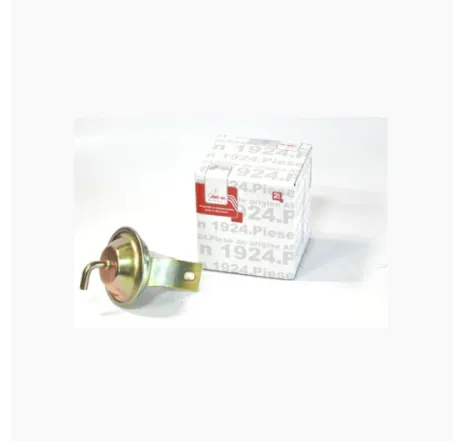 Avans vacuumatic Dacia 1310 ASAM 30025