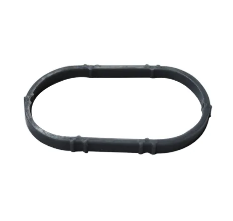 Garnitura galerie admisie Dacia Duster 1.6 16V 32883 ASAM