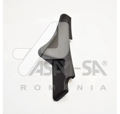 Obturator parbriz lateral stanga Dacia Duster 80114 ASAM