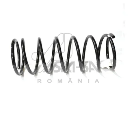 Arc suspensie spate Dacia berlina ASAM 30047