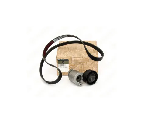 Kit accesorii Dacia Duster 117202506R Renault