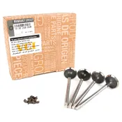 Set supape evacuare Dacia Logan / Sandero 132024905R Renault
