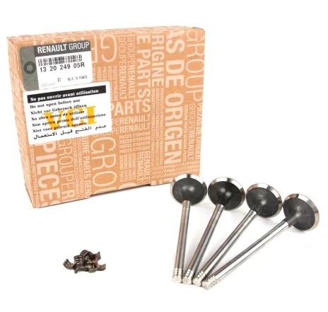 Set supape evacuare Dacia Logan / Sandero 132024905R Renault