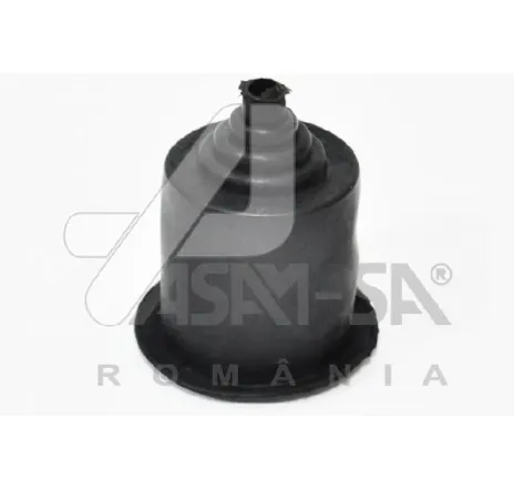 Protectie reglaj far Dacia Logan