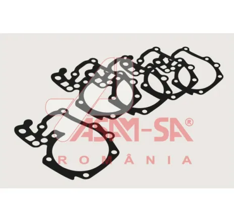 Garnitura pompa apa Dacia Logan/ Sandero 1.4/1.6 (set 10 buc)