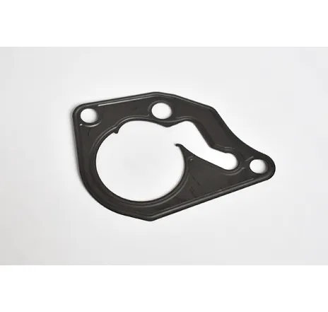 Garnitura pompa frana vacuum Dacia Logan