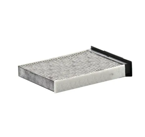 Filtru habitaclu c.a.