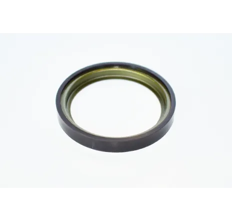 Inel abs tambur frana Dacia Logan/ Sandero 03.07-> (48 perechi de poli)