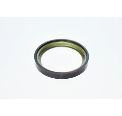 Inel abs tambur frana Dacia Logan/ Sandero ->03.07 (44 perechi de poli)