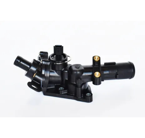 Termostat lichid racire