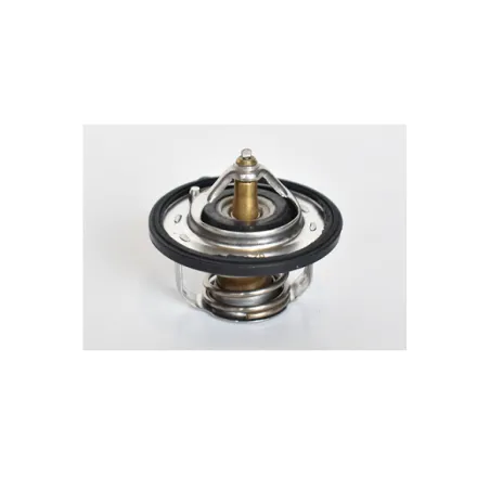 Termostat lichid racire Dacia Duster 1.6