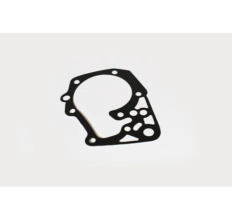 Garnitura pompa apa Dacia Logan/ Sandero 1.6_16v (set 10 buc)