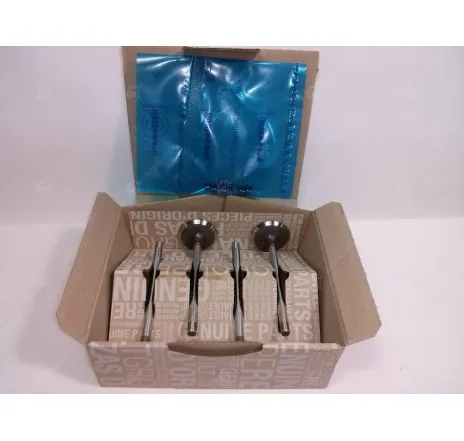 Set supape admisie Dacia Logan / Sandero 1.5 132011980R Renault